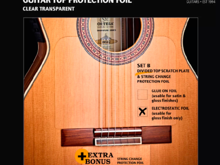 PROTECCION ELECTROACUSTICA ORTEGA FLAM2 Hot on Sale