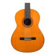 GUITARRA YAMAHA C45 CLASICA C ACABAD Discount