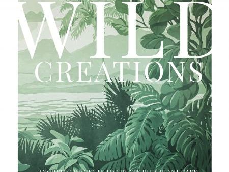 Wild Creations For Discount