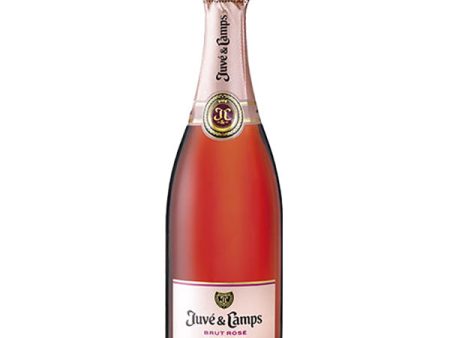 Juve & Camps Rosé Sale