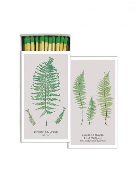 Fern Matches Online now