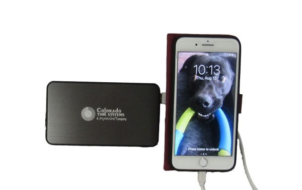 Power Bank (R-420-021) Discount