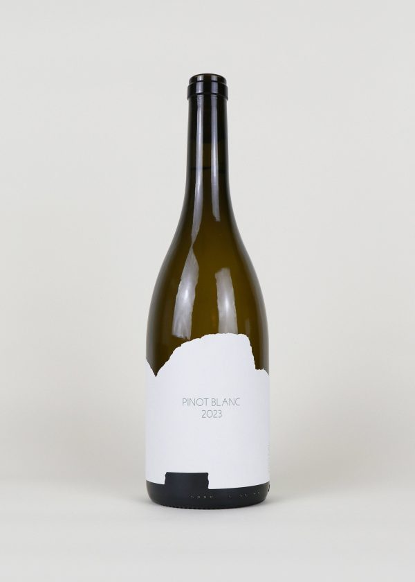 Pinot Blanc For Sale