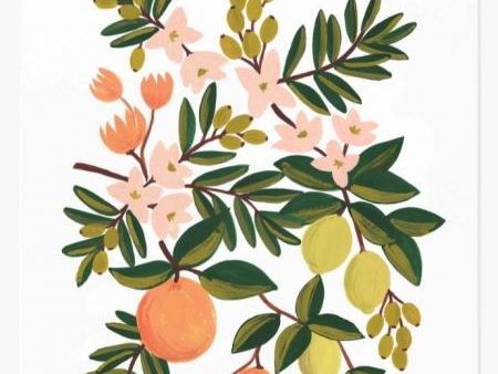 Citrus Floral Art Print Online Hot Sale