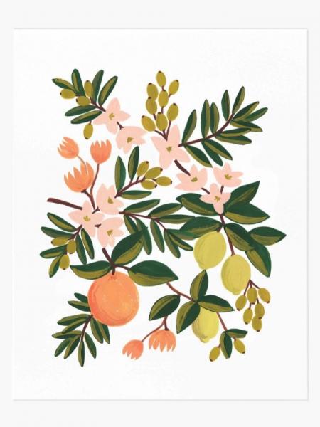 Citrus Floral Art Print Online Hot Sale